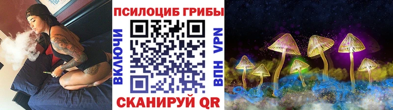 Псилоцибиновые грибы Magic Shrooms  Саянск 